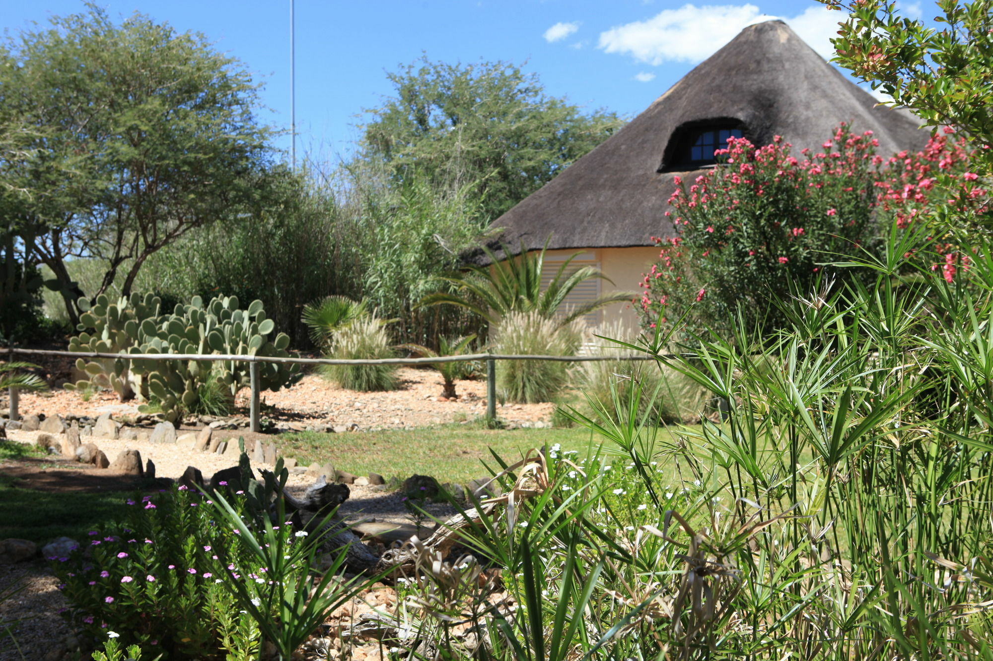 Immanuel Wilderness Lodge Windhoek Extérieur photo
