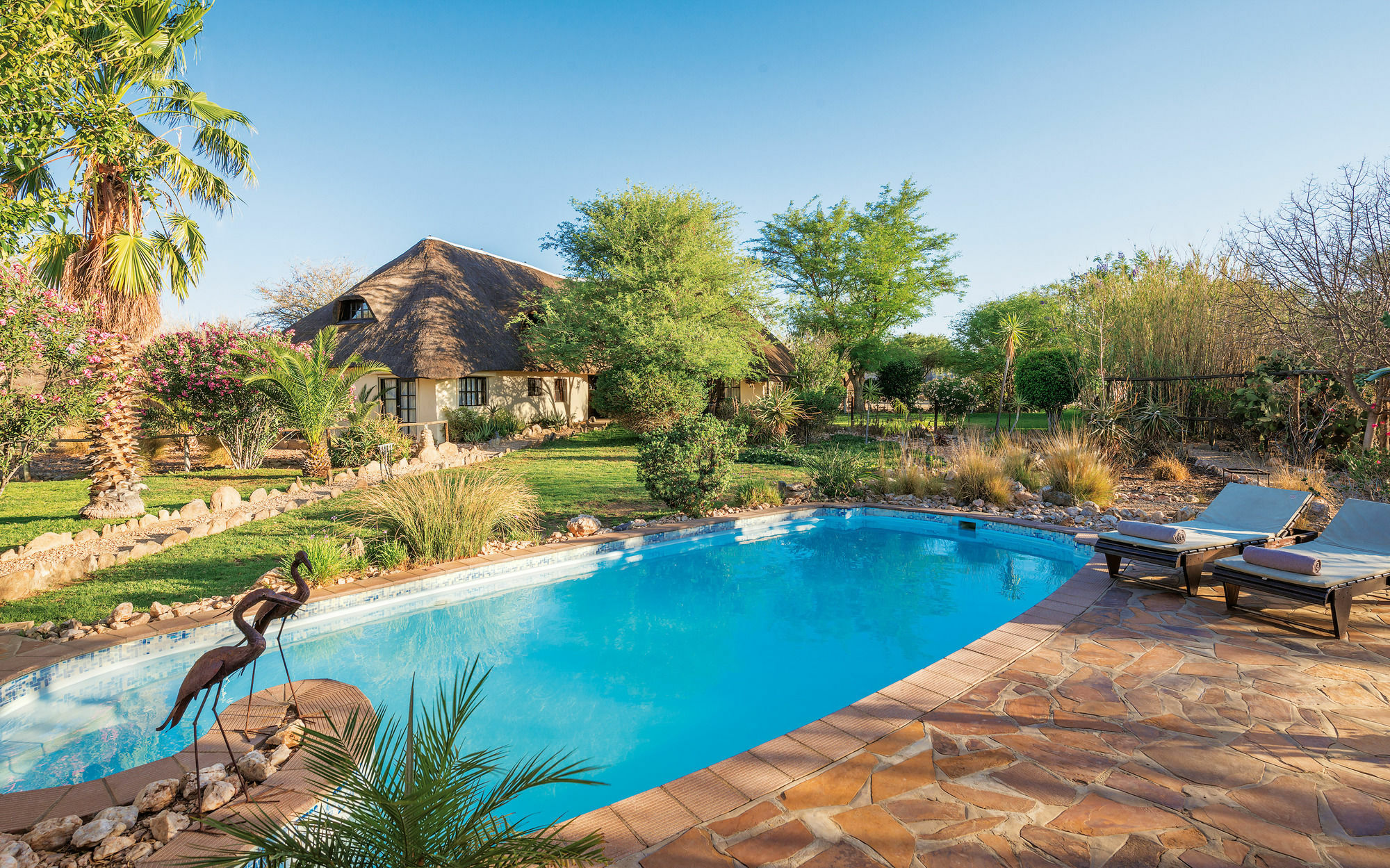 Immanuel Wilderness Lodge Windhoek Extérieur photo