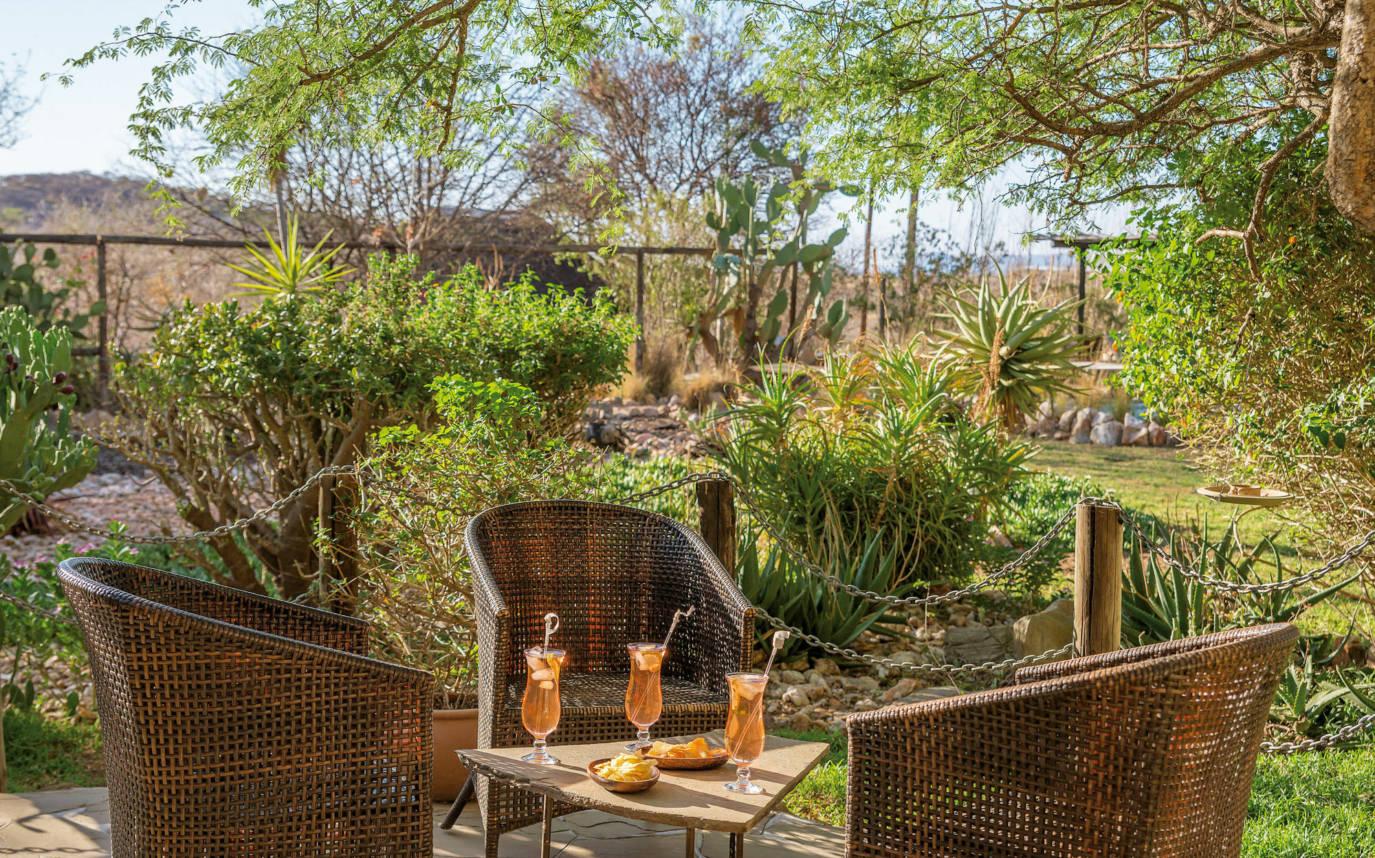 Immanuel Wilderness Lodge Windhoek Extérieur photo